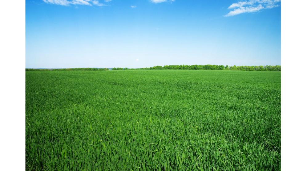 Planning Policy and the Green Belt Planning Policy and the Green Belt