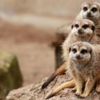 UK Attractions
