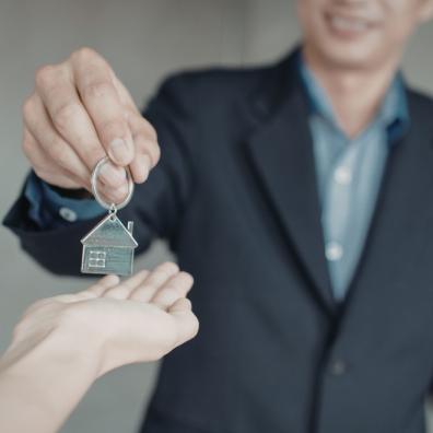 Avocado Property Sales