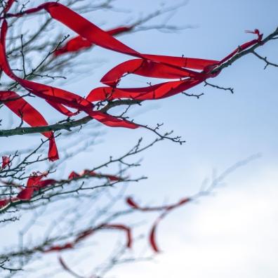 Housing red tape