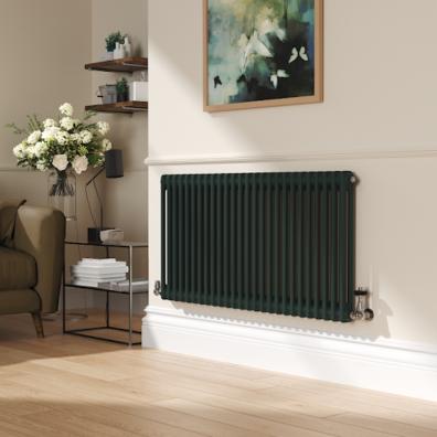 (Reggio Evergreen Horizontal Double Column Traditional Radiator) 